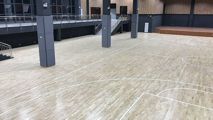 廣西木地板籃球場